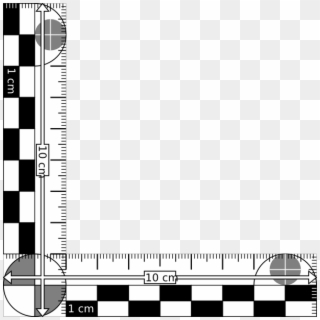 Small - Evidence Ruler Clipart