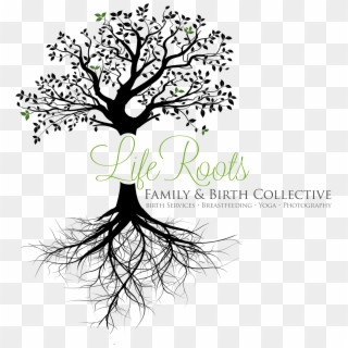 Life Collective - Tree With Roots Transparent Background Clipart