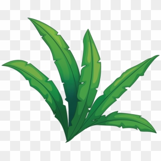 Stealth - Jungle Plant Transparent Clipart
