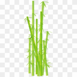 Bamboo Grass Jungle Leave Plant Png Image - Cartoon Bamboo Png Clipart