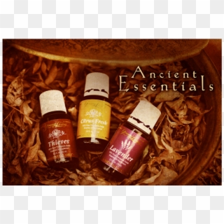 Ancient Essentials - Cosmetics Clipart
