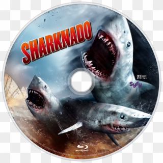 Sharknado Bluray Disc Image - Ataque Do Tubarão De 3 Cabeças Clipart