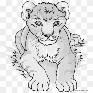 Clipartblack Com Animal Free Black White Images - Lion Cub Coloring Pages - Png Download
