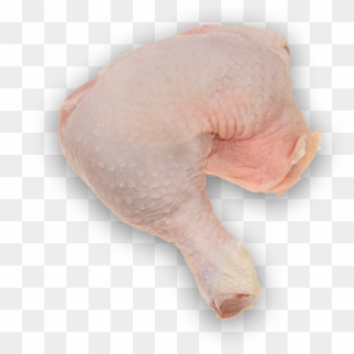Whole Chicken Leg - Turkey Meat Clipart