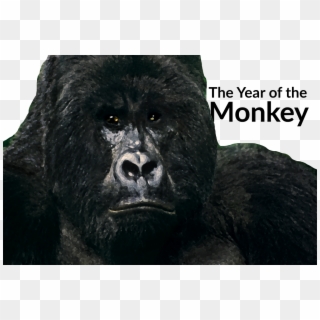 The Monkey's Influence On Anyone Doing Sales In - Iphone Sdk Clipart