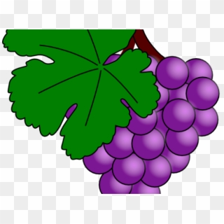 Daun Anggur Vector - Grapes Clip Art - Png Download