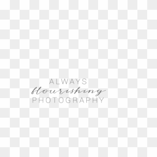 Transparent Clipart - Png Download