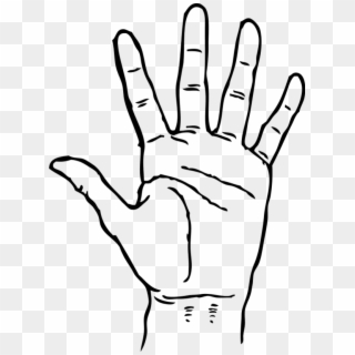 Hand Palm Facing Out - Hand Clipart Black And White - Png Download
