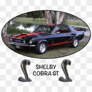 1967 Ford Mustang Elenor Gt 500 Shelby Cobra Tribute - Ford Mustang Shelby Gt 500 Clipart