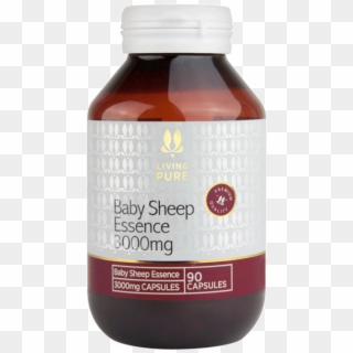 Baby Sheep Essence 3000mg Coming Soon - Cranberry Clipart