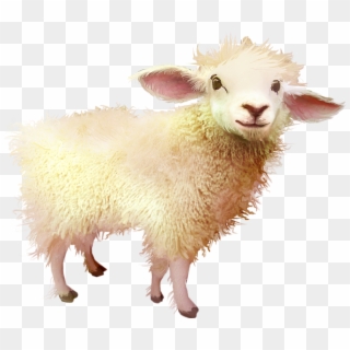 #sheep #baby #freetoedit - Sheep Clipart