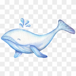 Drawn Whale Cute Thing - ภาพ การ์ตูน น่า รัก ๆ ปลาวาฬ Clipart