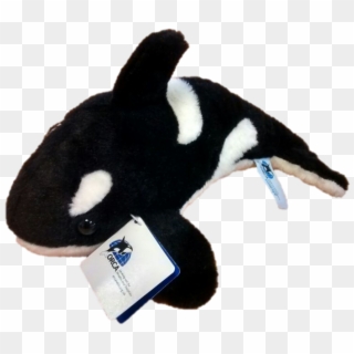 Cute Cuddly Killer Whales For Just £15 This Offer Is - Stuffed Toy Clipart