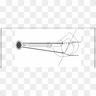 Aerial View Of The Proper Position For Firing A Rifle - Line Art Clipart