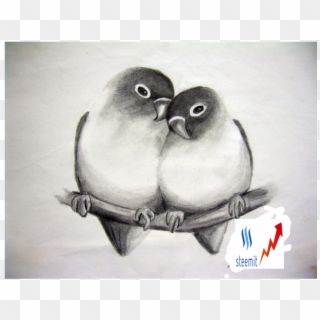 Beautiful Birds Love Birds Sketch - Sketches Of Love Birds Clipart