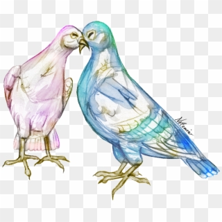 Love Birds - Parakeet Clipart