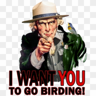 Breeding Landbird Volunteer Opportunities - Uncle Sam Clipart