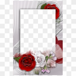 Transparent Romantic Frame With White And Red Rose - Manda Krishna Madiga Full Clipart