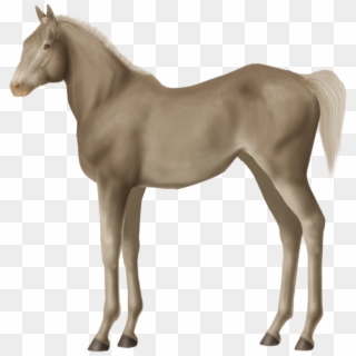 If Not Silver-something, What Do You Think Hyo Tetsu - Horse Clipart