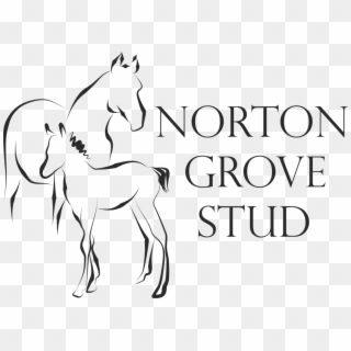 Norton Grove Stud Logo - Art Vitta Clipart