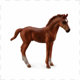 Chestnut Thoroughbred Foal - Baby Foal Chestnut Horse Clipart