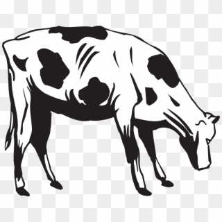 Grass Black And White Black Cow Eating Grass Clipart - Cow Eating Grass Drawing - Png Download