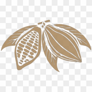 Kakao, Cokelat, Tanaman, Kalori, Buah, Manis, Makanan - Cacao En Png Clipart