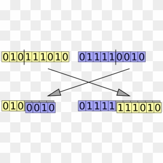Keki Burjorjee - Genetic Algorithm Order Crossover Clipart