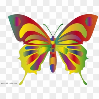 Clipart Butterflies - Butterfly Clip Art - Png Download