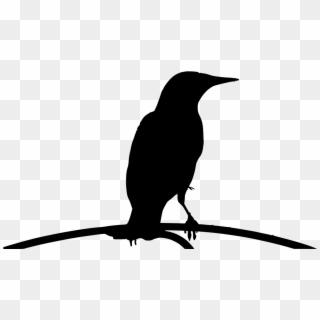 Download Png - Crow Clipart