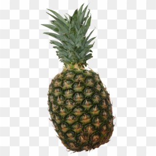 Pineapple Transparent Png Image - Pineapple Clipart