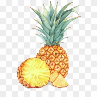 Watercolor Painting Illustration A Transprent Png Free - Watercolor Painting Of Pineapple Clipart