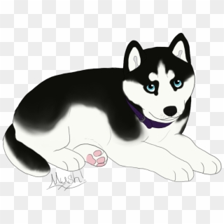 Pup 4= Female, Sable Colored Husky With Dual Colored - Husky With Blue Eyes Drawing Transparent Gif Clipart
