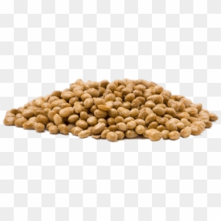 Food - Soybeans - Raw Hemp Seeds Clipart