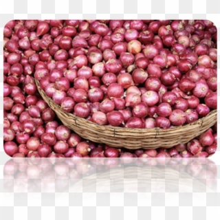 Bangladesh Onion Clipart