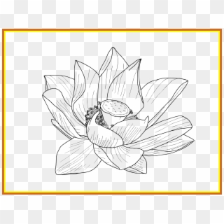 Flower Png Outline - Drawing Clipart