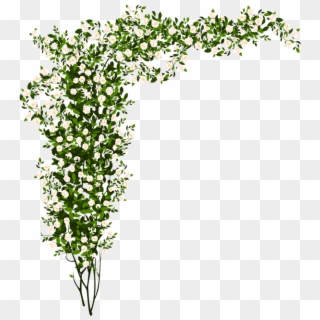 Arrangement Flowers Green Small Flower - White Flower Bush Png Clipart