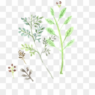 Doodles Png Library Library - Twig Clipart