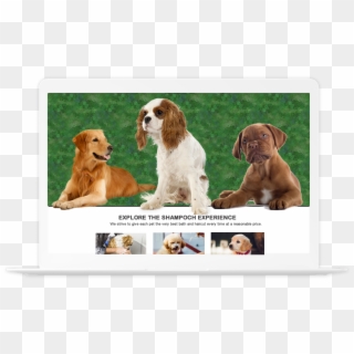 Image Is Not Available - Companion Dog Clipart