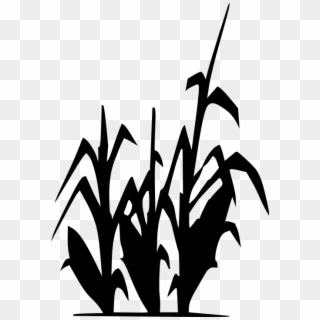Korn Clipart Vector - Clipart Black And White Corn Stalks - Png Download