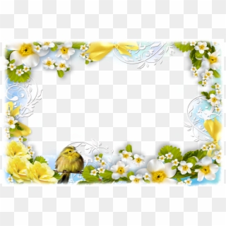Flowers And Birds - Flower Spring Clipart Border - Png Download