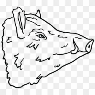 Pig Heads 03 - Sketch Clipart