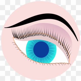 Drawing Eyelashes Real Eye - Iris Senza Copyright Vector Clipart