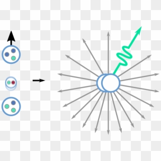 Because The Weak Force Also Connects The Spin Direction - Circle Clipart
