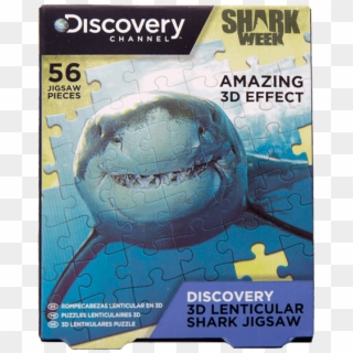 Puzzle - Great White Shark Clipart