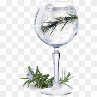 Image Transparent Library Cocktail Drawing Gin And - Gin Tonic Gin Png Clipart