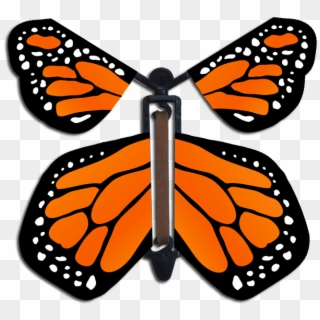 Orange Monarch Wind Up Flying Butterfly - Make A Flying Butterfly Pattern Clipart