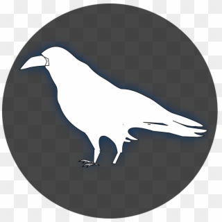 White Raven Clipart - Png Download