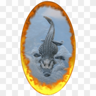 Custom Portal Wall Posters - Alligators Clipart