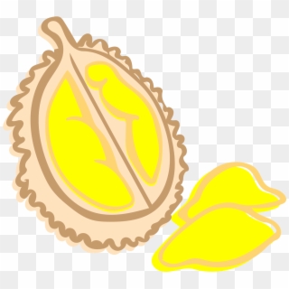 Durian - Illustration Clipart